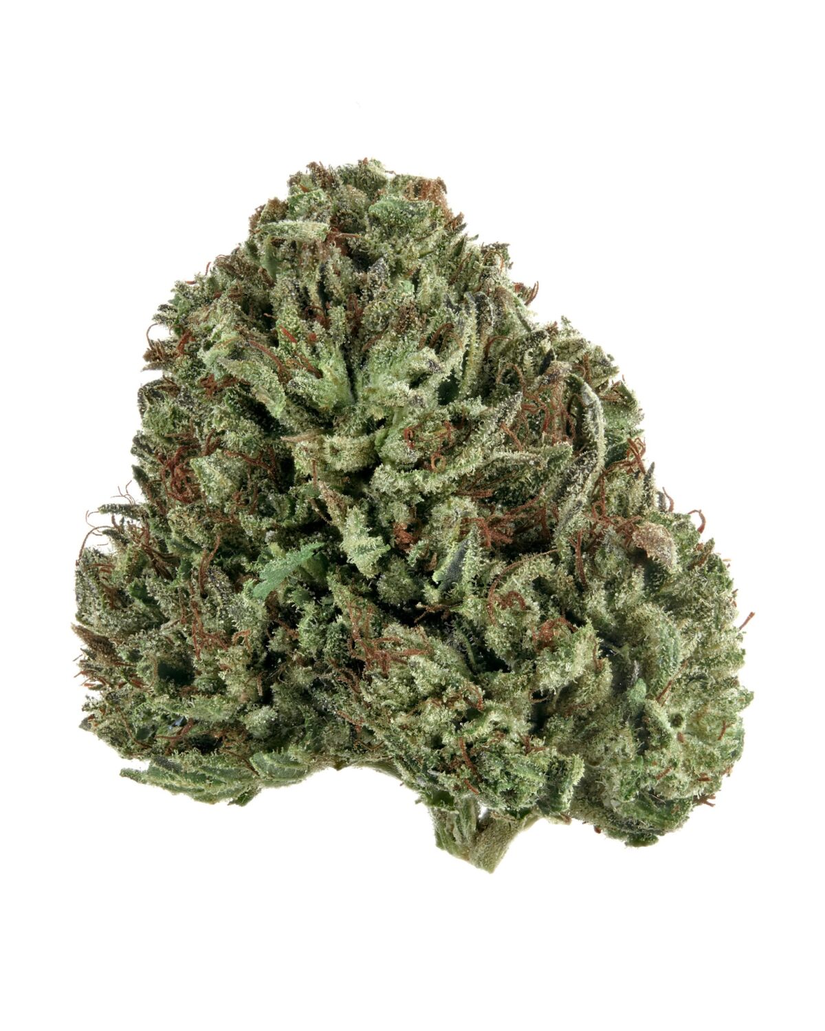 Buy Gelato 25 online