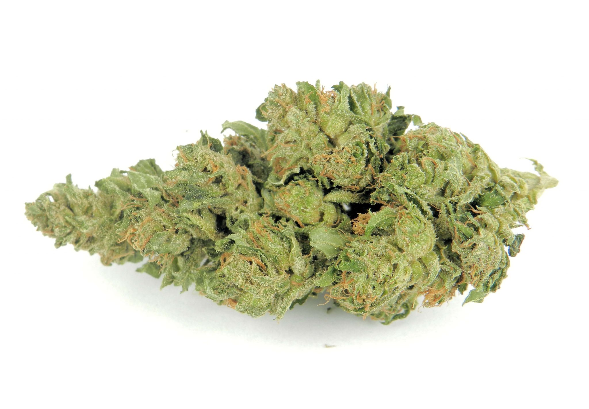 Buy Master Kush online Buy Master Kush online